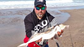 Elefante, gallo o banderita, es una de las especies estrella de la primavera para los deportistas de la caña.