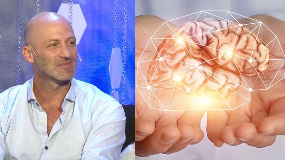 El cerebro y la delgada lnea entre la emocin violenta y la razn