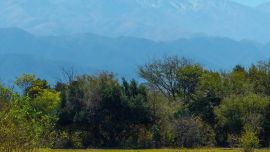 2109_Parque Arrayanes de Concepción