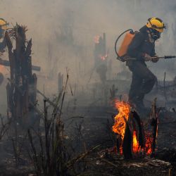 Bomberos y voluntarios combaten un incendio en la selva amazónica en Apui, al sur del estado de Amazonas, Brasil. | Foto:MICHAEL DANTAS / AFP