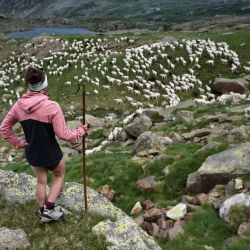 La pastora francesa Alisson Carrere-Sastre, de 23 años, vigila su rebaño, en el valle de Aygues Tortes, en los Pirineos franceses. - La pastora francesa conduce un rebaño de 700 ovejas en los pastos de los Pirineos de junio a septiembre. | Foto:VALENTINE CHAPUIS / AFP