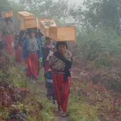Mujeres de la comunidad indígena guatemalteca ixil llevan los ataúdes que contienen los restos de 75 ixiles exhumados de una fosa común cercana, el 3 de noviembre de 1997, mientras se dirigen al cementerio de la pequeña aldea montañosa de Chacalte, a 275 km al noroeste de Ciudad de Guatemala. | Foto:Jorge Uzon / AFP