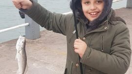 Hacía tiempo que no se veían tanta cantidad de pescadillas en la costa de Mar del Plata. Los piques se dieron prácticamente a toda hora.