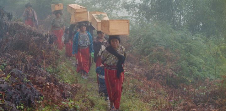 Mujeres de la comunidad indígena guatemalteca ixil llevan los ataúdes que contienen los restos de 75 ixiles exhumados de una fosa común cercana, el 3 de noviembre de 1997, mientras se dirigen al cementerio de la pequeña aldea montañosa de Chacalte, a 275 km al noroeste de Ciudad de Guatemala.