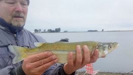 Una oportunidad imperdible para pasar un fin de semana en familia, en un solar silvestre rico en pejerreyes y carpas.