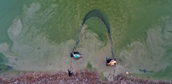 Una imagen aérea muestra a hombres sirios lanzando una red de pesca en la presa de Qastoun, en la llanura de al-Ghab de la provincia de Hama, en el centro de Siria.
