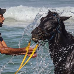 Un joven palestino lava su caballo en una playa del Mar Mediterráneo en Khan Yunis, en el sur de la Franja de Gaza. | Foto:SAID KHATIB / AFP