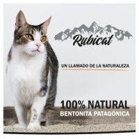 Rubicat Arena