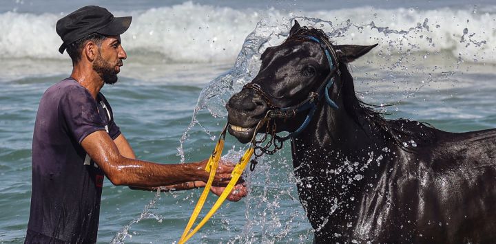 Un joven palestino lava su caballo en una playa del Mar Mediterráneo en Khan Yunis, en el sur de la Franja de Gaza.