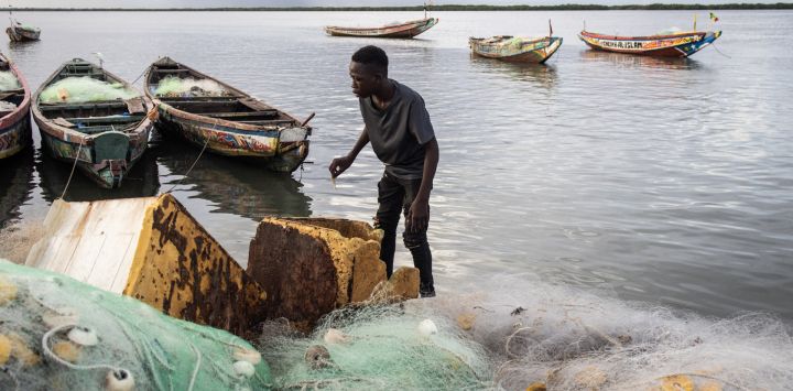 Un niño busca restos de pescado para utilizarlo como cebo en la pesca del cangrejo a lo largo del río Casamance en Ziguinchor, Senegal.