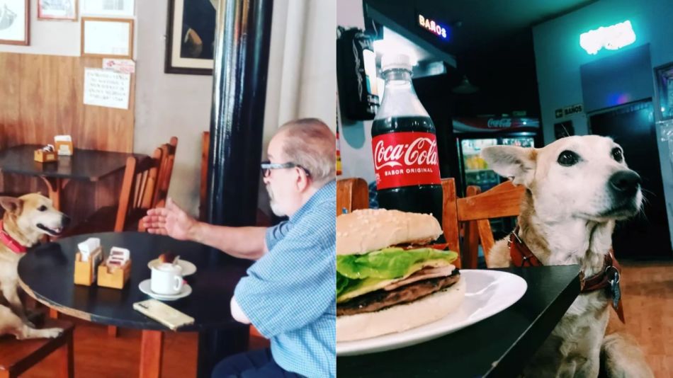 Corchito
