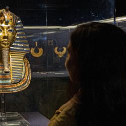 Un visitante observa la máscara funeraria de oro del antiguo faraón del Nuevo Reino Egipcio Tutankamón (1334-1325 a.C.) expuesta en el Museo Egipcio en el centro de la capital de Egipto, El Cairo, durante las celebraciones del Día Mundial del Turismo y el 200º aniversario de la egiptología por el desciframiento de los antiguos jeroglíficos egipcios. | Foto:Khaled Desouki / AFP