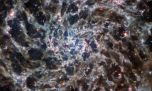 El Telescopio James Webb captó los huesos ocultos en polvo de una lejana galaxia espiral