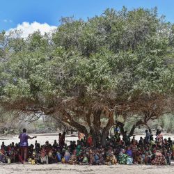Mujeres de la comunidad pastoral de Turkana y sus hijos esperan en un grupo a la sombra de un árbol durante una asistencia integrada proporcionada en una clínica médica por el Fondo de las Naciones Unidas para la Infancia (UNICEF) y la Cruz Roja de Kenia en la localidad de Sopel. | Foto:TONY KARUMBA / AFP