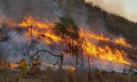 Incendios forestales: el fuego sigue azotando a tres provincias argentinas
