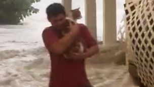 Rescató a un gato en medio del huracán Ian 20220929