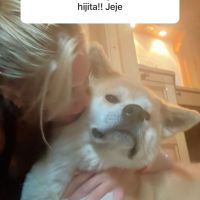 Filtraron el sexo del bebé Maxi López y Daniela Christiansson