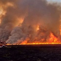 Se estima que 415.000 hectáreas comprendidas por los humedales en jurisdicción de San Nicolás, Victoria y San Lorenzo pueden ser víctimas del fuego.