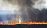 Incendios forestales: en los últimos tres meses el fuego ya arrasó con más más de 170.000 hectáreas en el Delta