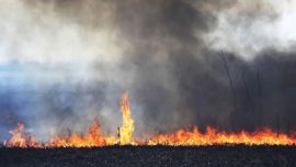 El fuego sigue haciendo estragos en el Delta.