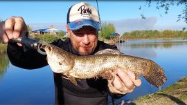 Un relato cargado de expectativas en busca de las primeras tarariras entrerrianas. Al final, la jornada fue coronada por el éxito.