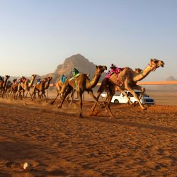 Camellos compiten durante una carrera de camellos en el desierto de Wadi Rum, Jordania. | Foto:Xinhua/Mohammad Abu Ghosh