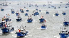 Soberanía marítima en peligro: China construyó la flota pesquera más grande del mundo