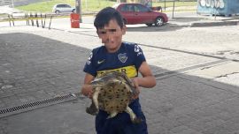 5_10TortugasRiachuelo