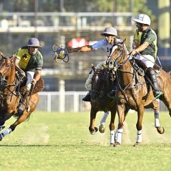 Los certámenes nacionales, de gran relevancia y con gran concurrencia de público, se realizan en las instalaciones del Campo Argentino de Pato.