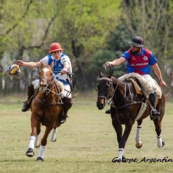 Los certámenes nacionales, de gran relevancia y con gran concurrencia de público, se realizan en las instalaciones del Campo Argentino de Pato.