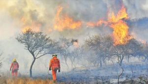 bomberos incendios