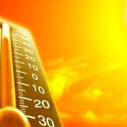 Las olas de calor constituyen el peligro meteorológico más mortífero para el planeta y la humanidad.