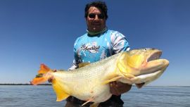 El Paraná, a la altura de Reconquista, provincia de Santa Fe, supo entregar preciosos trofeos de dorado.