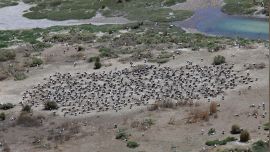 Está ubicada frente al puerto de Ingeniero White, en el partido bahiense de Villarino,