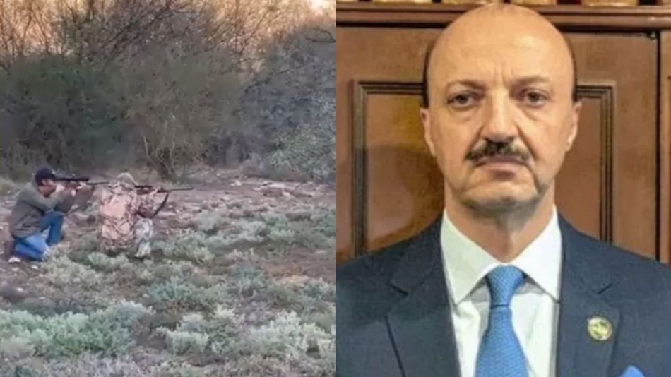 Búfalo ataca a Canales Najjar 20221013