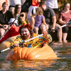 Kevin Bailey, de Tualatin, rema en el tramo final de la Regata de Calabazas Gigantes de la Costa Oeste en Tualatin, Oregón. - Desde 2004, personajes disfrazados con calabazas gigantes compiten en una serie de carreras en el lago Tualatin. | Foto:Wesley Lapointe / AFP