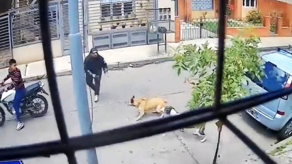 Motochorros corridos por los perros 20221018