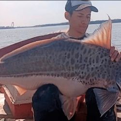 Nicolás Reynoso es el nombre del afortunado pescador del ejemplar de patí de 24,89 kilos. El animal fue devuelto al río. 
