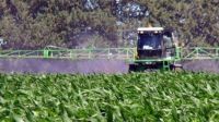 Crecen las certezas (y persisten algunas dudas) sobre el daño de los pesticidas