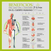 Aceite medicinal de cannabis De La Tierra Bienestar® y Parkinson