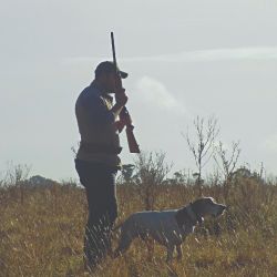 La importancia de llevar a un perro en las excursiones de caza menor.