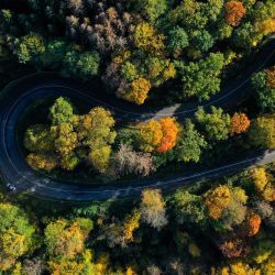 La vista aérea muestra una calle en un bosque coloreado por el otoño cerca de Wermelskirchen, al oeste de Alemania. | Foto:INA FASSBENDER / AFP