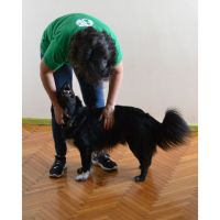 El Perro Valiente®, no tiene ansiedad