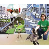 El Perro Valiente®, no tiene ansiedad