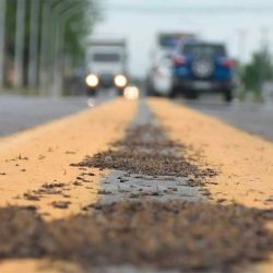 Miles de hormigas voladoras invadieron las calles de Sauce Viejo.
