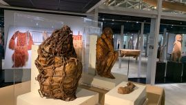 Se encontraban conservadas en el Museo Etnológico Anima Mundi.