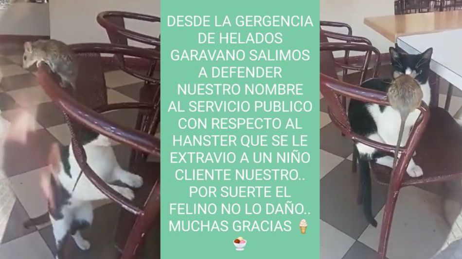 Helados Garavano 20221021
