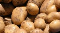 Papas