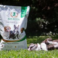 Selecta