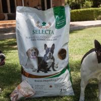 Selecta
